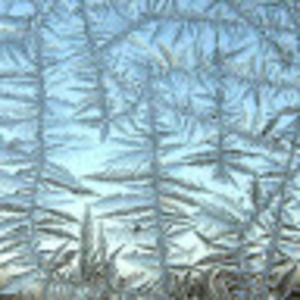 Meet your Posher, Kwan